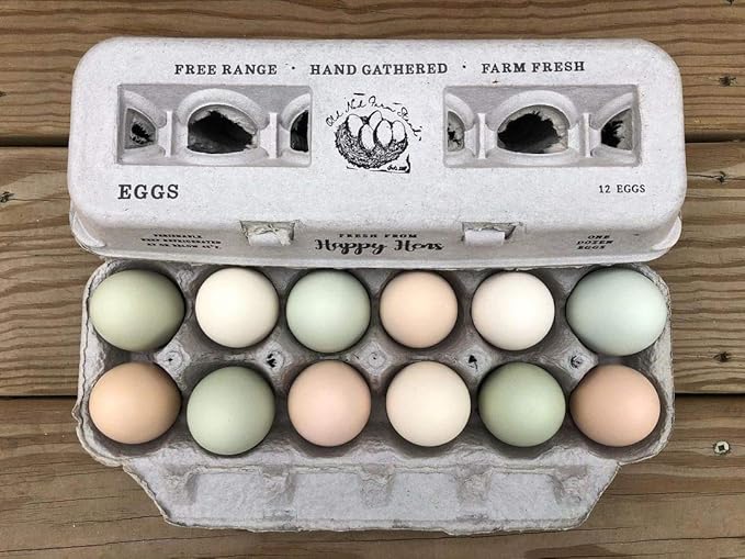 Egg Cartons- Adorable Printed Design for Farm Fresh Eggs, Recycled Paper Cardboard, Sturdy & Reusable, Holds up to XL Chicken Eggs (Blank Stamping, 25)
