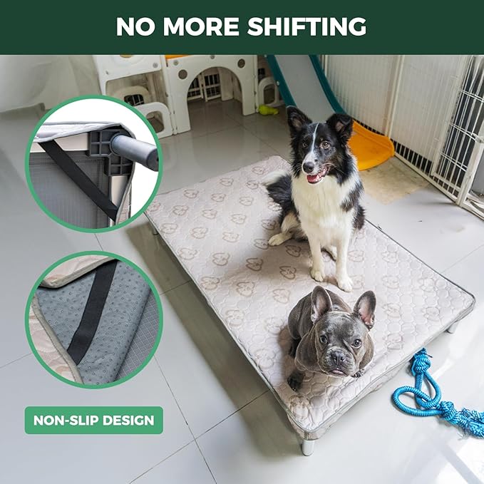 FXW TitanNest Chew-Proof Elevated Dog Bed, Raised Cot for Indoor/Outdoor/Camping Use, Durable & Washable Padded Pet Bed with Exclusive Cover for Toy Dogs, 23.0" L x 17.0" W x 4.5" H, Black