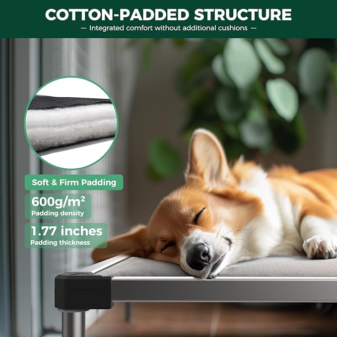 FXW TitanNest Chew-Proof Elevated Dog Bed, Raised Cot for Indoor/Outdoor/Camping Use, Durable & Washable Padded Pet Bed for Extra-Small Dogs, 30.0" L x 22.0" W x 4.5" H, Gray