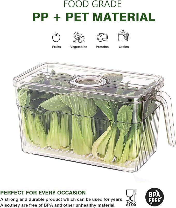 loobuu 2 Pack Stackable Food Storage Produce Saver Containers for Refrigerator, Berry Keeper Boxes for Fridge with Removable Drain Tray Keep Fresh for Vegetables/Fruit (Clear&Green)