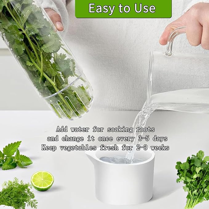 Herb Saver for Refrigerator, Herb Saver Pod Cilantro Containers for Refrigerator, Fresh Herb Keeper for Cilantro, Parsley, Asparagus, Mint, Keeps Greens Vegetables for 2-3 Weeks (Herb Keeper 1Pack)