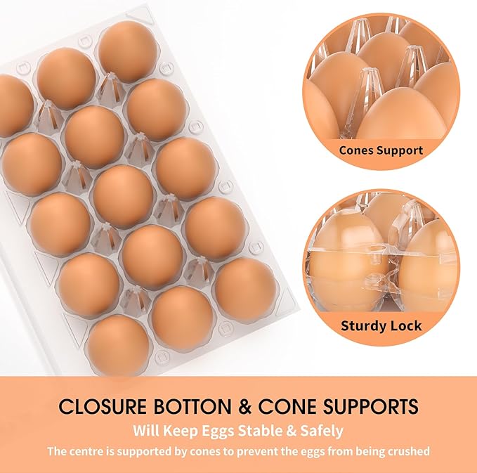 180 Pack Egg Cartons Cheap Bulk 12 Count Clear Plastic Egg Containers for Chicken Eggs, Reusable Egg Holder for Home Ranch Farm Commercial Market Display, Plastic Egg Packaging for Craft Projects