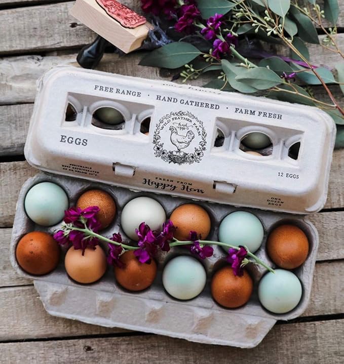 Egg Cartons- Adorable Printed Design for Farm Fresh Eggs, Recycled Paper Cardboard, Sturdy & Reusable, Holds up to XL Chicken Eggs (Blank Stamping, 25)