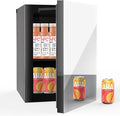 Mini Fridge with Mirror Door - Adjustable Shelves & Temp Control for Drinks, Skincare, Soda, Beer, Wine - Home, Office, Dorm (0.9 Cu.Ft)