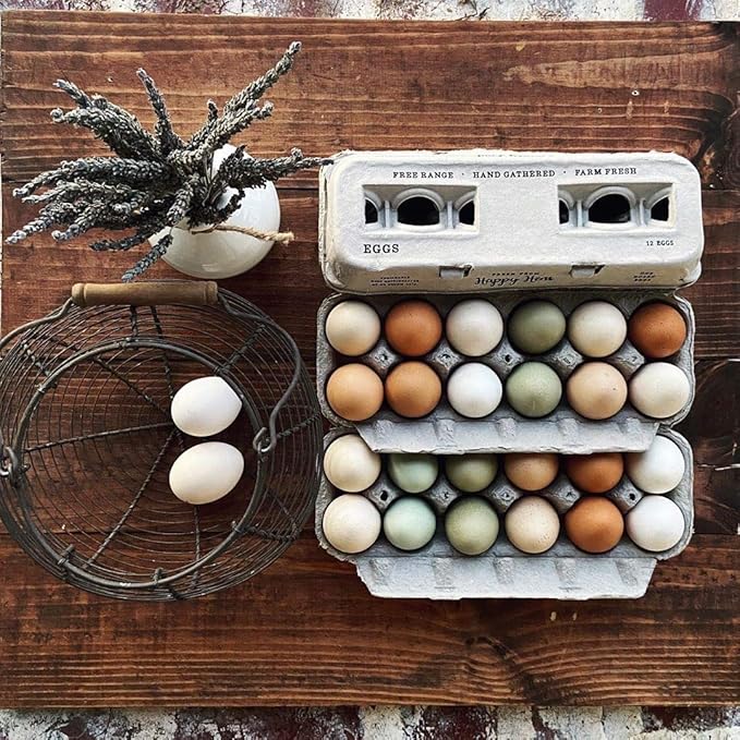Egg Cartons- Adorable Printed Design for Farm Fresh Eggs, Recycled Paper Cardboard, Sturdy & Reusable, Holds up to XL Chicken Eggs (Blank Stamping, 25)