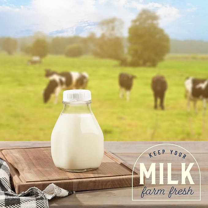 kitchentoolz 16 Oz Glass Milk Bottle with Lid - 16 Ounce Short and Wide Glass Milk Container for Refrigerator with Tamper Proof Lid and Pour Spout - Pack of 2