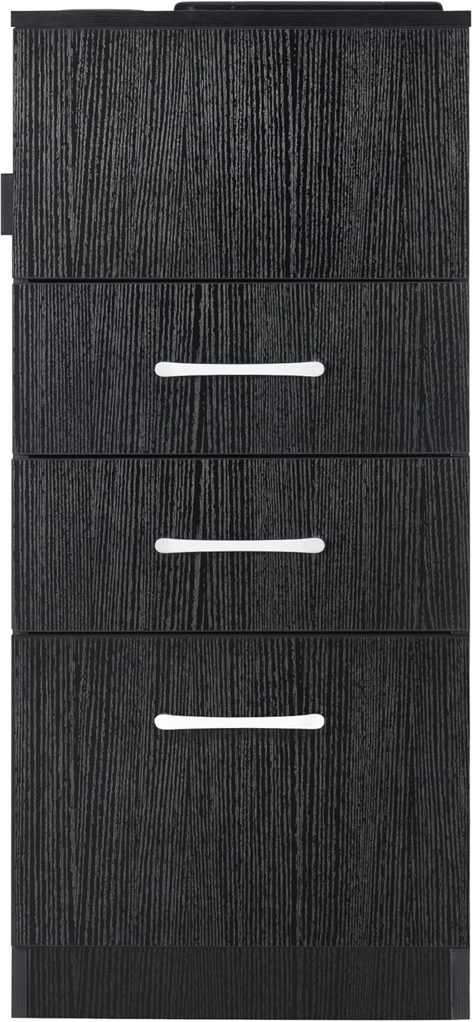BarberPub Salon Storage Cabinet Beauty Locker Hair Dryer Holder Stylist Spa Equipment with Drawer 2035 (Black)