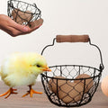 TAIANLE.Small Wire Egg Collecting Basket with Handle,Mini Metal Easter Quail Hunt Egg Basket for Gathering Fresh Egg,Round Farmhouse Vintage Countertop Holder,2 PCS
