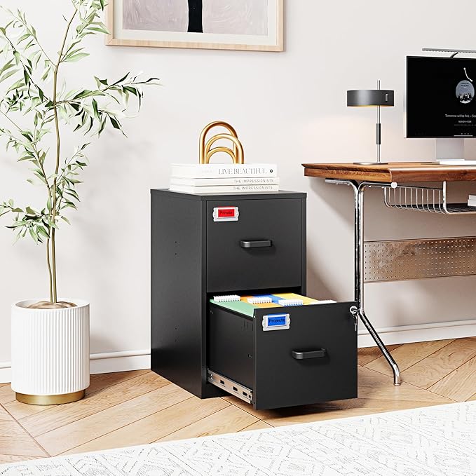 2 Drawer File Cabinet with Lock, 25.4" High Vertical Filing Cabinet, 17.7" Deep Metal Storage Cabinets for Home Office, Letter/Legal/A4/F4 Size, Black(Assemble Required)