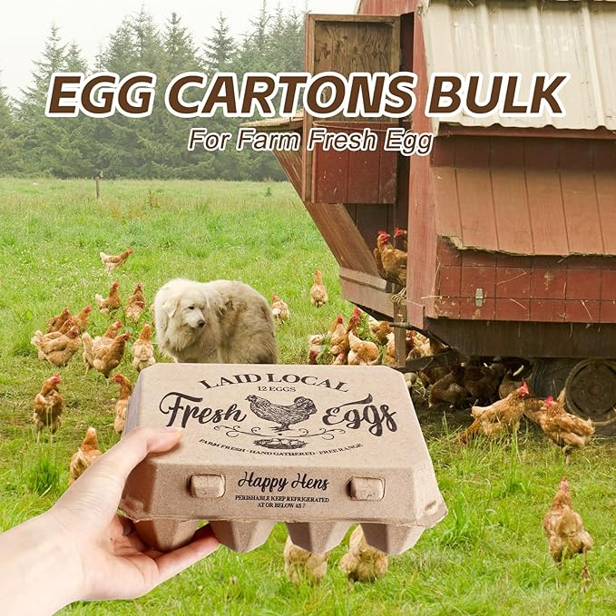 Zhanmai 50 Pcs Natural Paper Pulp Egg Cartons Blank Bulk 12 Count Dozen Vintage Classical 3 x 4 Style Square Chicken Cardboard Egg Tray Holder for Family Farm Market Storing(Classic)