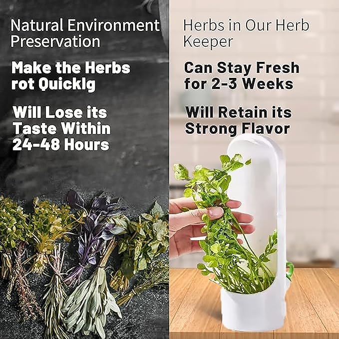 3Pack Herb Saver for Refrigerator for Cilantro, Parsley, Asparagus, Mint,Vegetable Preservation Containers, Keeps Greens Vegetables for 2-3 Weeks