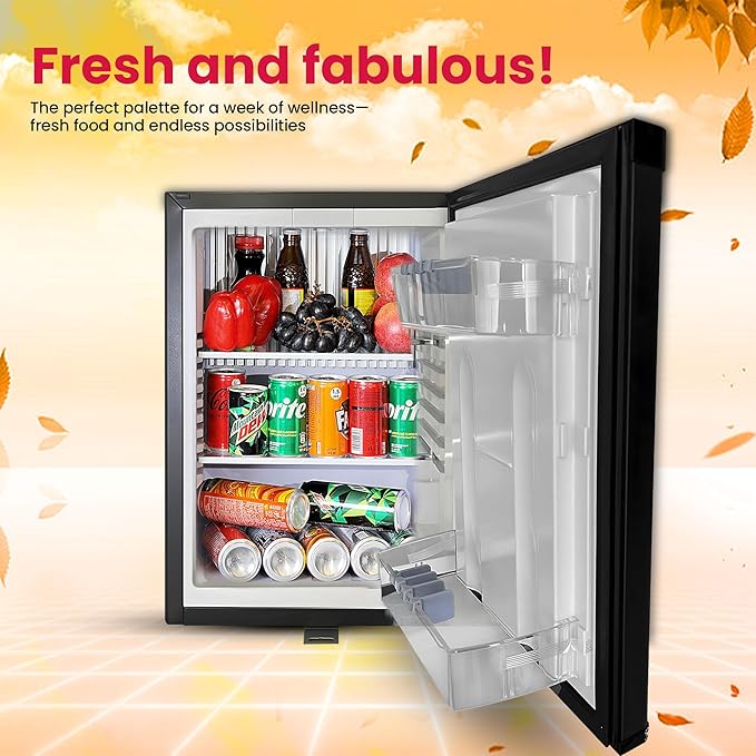 roomwell 1.4 cu.ft Compact Auto Defrost 120V/12V Refrigerator with No Noise Absorption, Locking Mini Fridge with Lock and Key-Ideal Semi Truck Refrigerator for RV, Camping, Dorm, Office & Travel Use