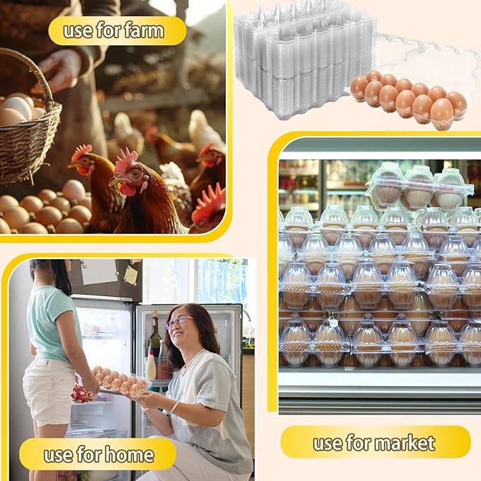 200Pcs Plastic Egg Carton Bulk Empty Clear Egg Tray Holder Container for Farm Business Market Home Kitchen Refrigerator Storage (2 x 6 Grids)