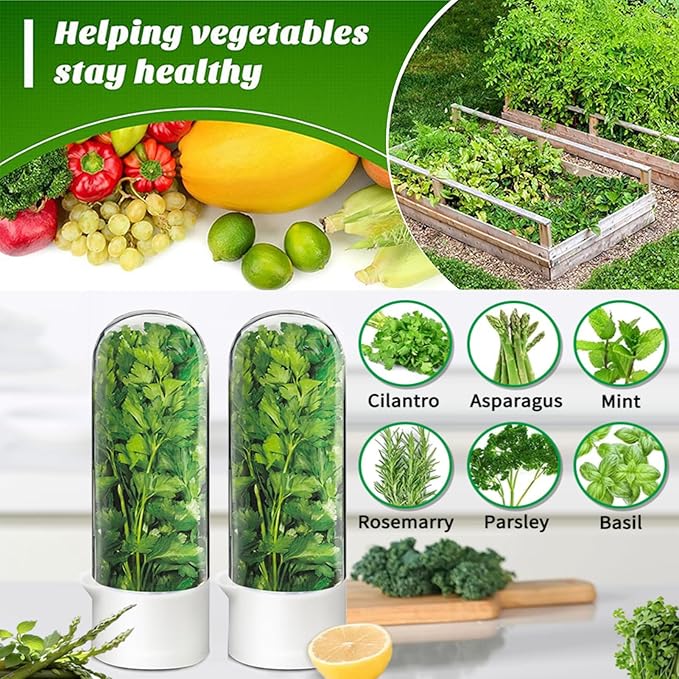Herb Saver for Refrigerator - Herb Keeper & Cilantro Container for Fridge | Vegetable Preservation Storage Container for Cilantro, Basil, Asparagus | Extends Freshness Up to 2-3 Weeks
