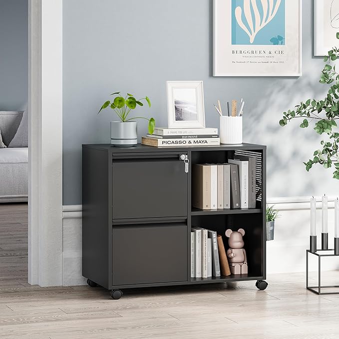 MIIIKO 2 Drawer File Cabinet on Wheels, Metal Filing Cabinets with Shelf, Home Office Mobile File Cabinet with Lock, Printer Stand Storage A4, Letter Size File Folders