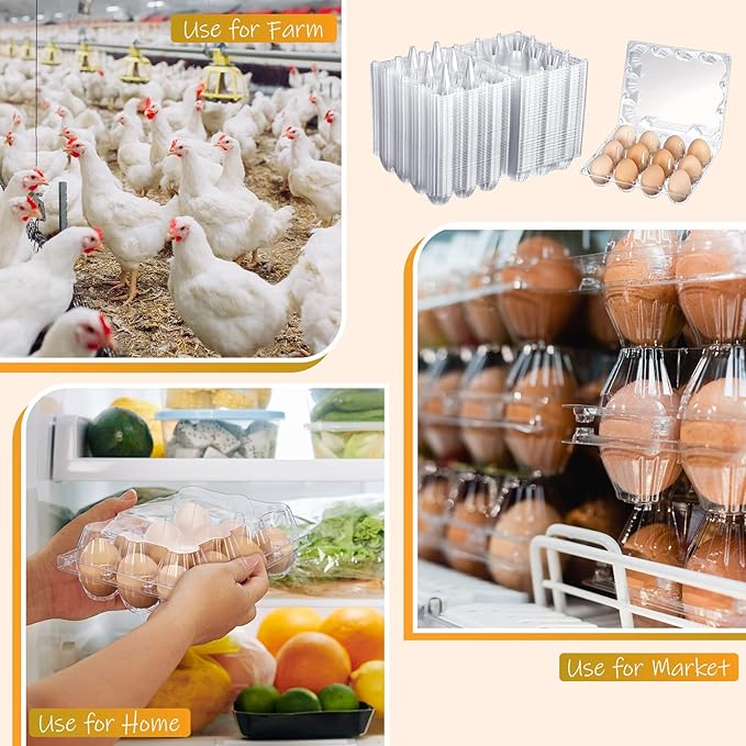 Zubebe 200 Pieces Clear Plastic Egg Carton - Bulk Empty Chicken Tray Holds Securely for Farm Business Market Home Refrigerator Storage (3 x 4 Grids)