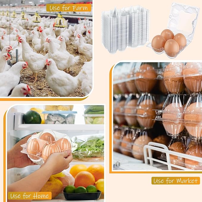 Zubebe 200 Pieces Clear Egg Cartons Plastic Egg Cartons Bulk Empty Chicken Egg Tray Holds Securely Clear Blank Egg Cartons for Chicken Farm Business Market Home Refrigerator Storage(2 x 2 Grids)