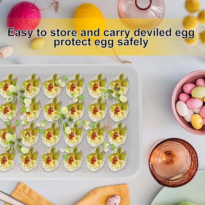 Egg Holder for Refrigerator, Deviled Egg Containers Large Plastic Egg Tray Carrier for Fridge Kitchen Egg Storage Compact Stackable Durable Clear with Lid Fits 48 Eggs 2 Pack