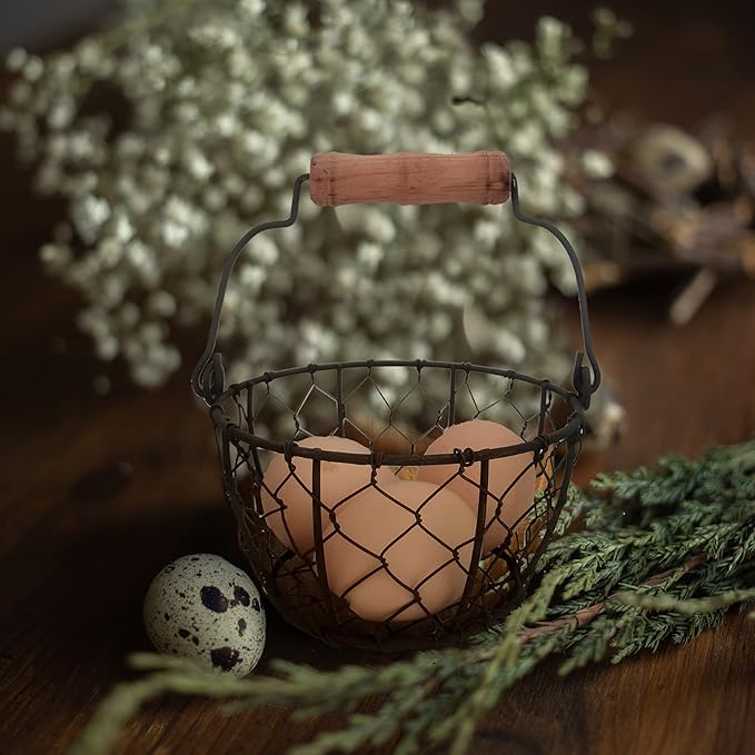 TAIANLE.Small Wire Egg Collecting Basket with Handle,Mini Metal Easter Quail Hunt Egg Basket for Gathering Fresh Egg,Round Farmhouse Vintage Countertop Holder,2 PCS