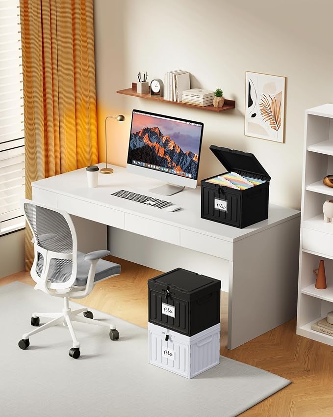 Oterri Plastic File Box with Lid for Letter Size File Folders, Hanging File Folder Box, File Organizer for File Cabinet, Home, Office,School(White, Large-1 Pack Without Folders)