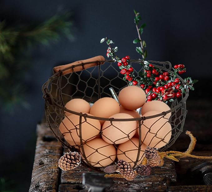 TAIANLE. Farmhouse Wire Egg Basket for Gathering Fresh Eggs with Handle, Round Metal Egg Collecting Basket Vintage Style Countertop Storage Container Holder Fruit Bin