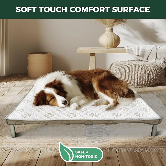 FXW TitanNest Chew-Proof Elevated Dog Bed, Raised Cot for Indoor/Outdoor/Camping Use, Durable & Washable Padded Pet Bed with Exclusive Cover for Toy Dogs, 23.0" L x 17.0" W x 4.5" H, Black