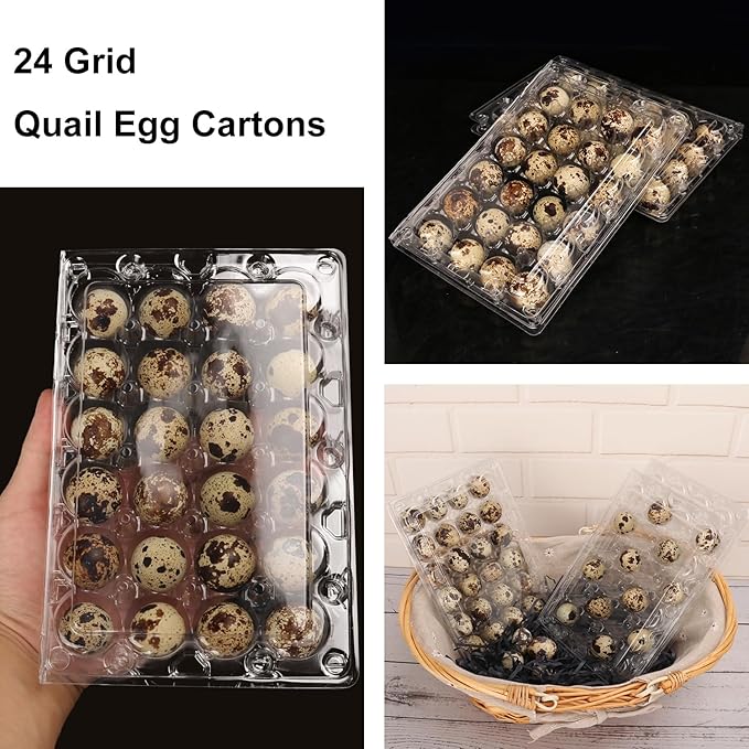 120 Pack Quail Egg Cartons - Clear Plastic Trays Hold 24 Eggs Securely, Ultimate Small Egg Holders for Bulk Storage and Display
