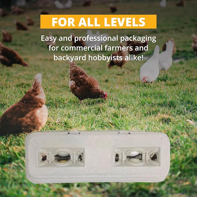 Stromberg's Jumbo Blank Egg Cartons, Bulk Pack for Jumbo Eggs, Perfect for Custom Branding, Safe & Secure Egg Storage, Convenient Stacking for Easy Transport and Storage, 200 Pack