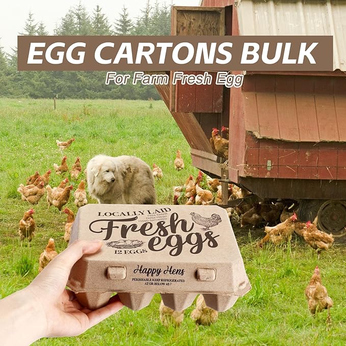 Zhanmai 50 Pcs Natural Paper Pulp Egg Cartons Blank Bulk 12 Count Dozen Vintage Classical 3 x 4 Style Square Chicken Cardboard Egg Tray Holder for Family Farm Market Storing(Stylish)