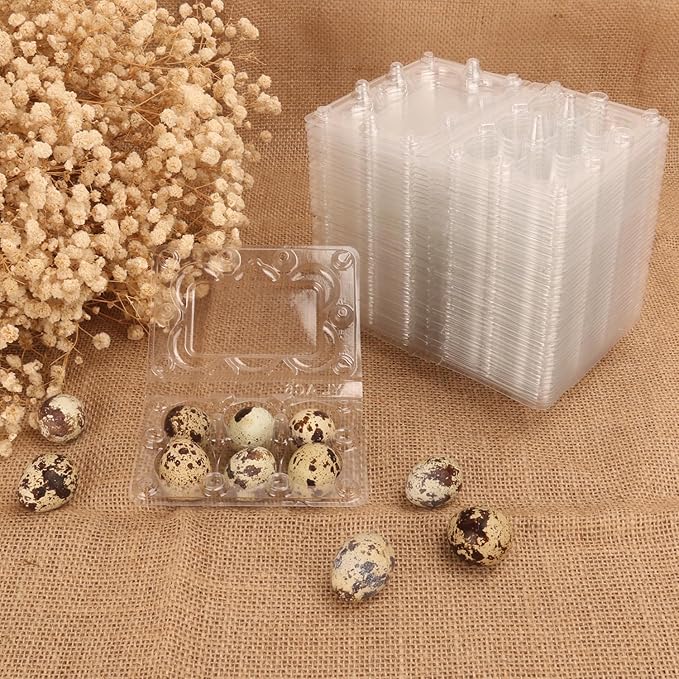 300 Pack Quail Egg Cartons, Clear Plastic Quail Egg Trays, Holds up to 6 Quail Eggs Securely - Your Ultimate Small Eggs Carton Holders for Bulk Storage and Display