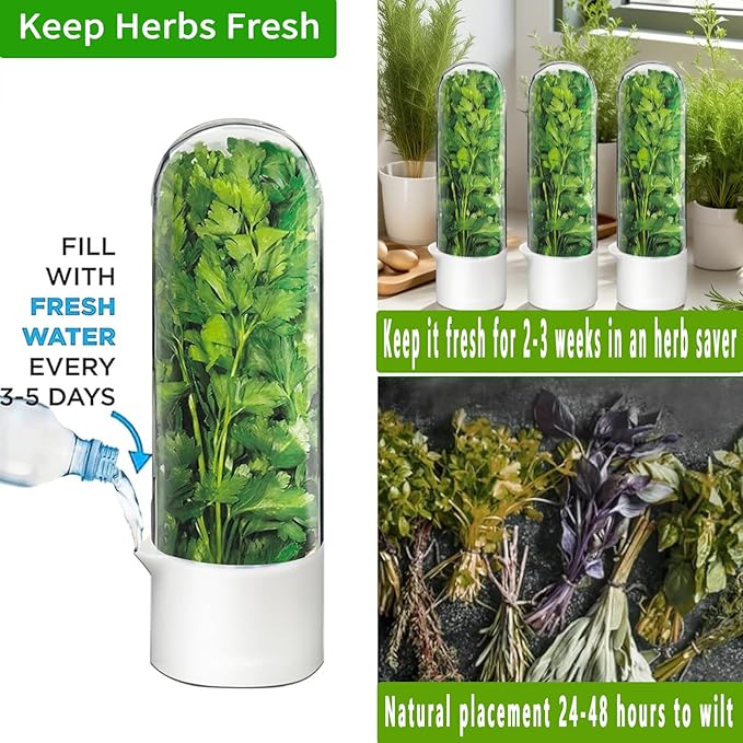 Herb Saver for Refrigerator - Herb Keeper & Cilantro Container for Fridge | Vegetable Preservation Storage Container for Cilantro, Basil, Asparagus | Extends Freshness Up to 2-3 Weeks