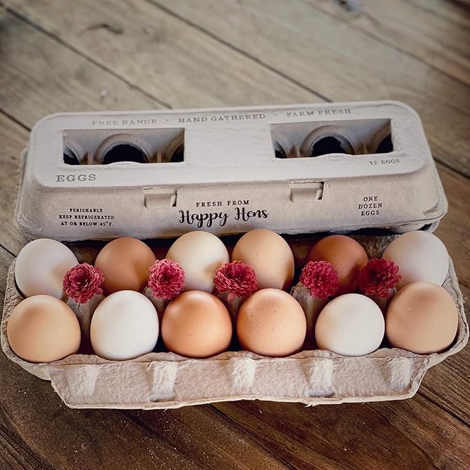 Egg Cartons- Adorable Printed Design for Farm Fresh Eggs, Recycled Paper Cardboard, Sturdy & Reusable, Holds up to XL Chicken Eggs (Blank Stamping, 250)