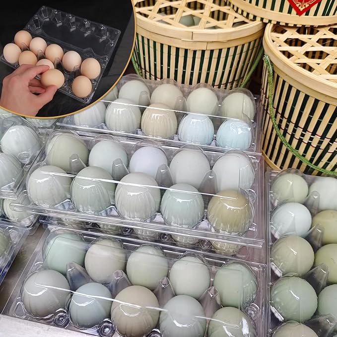 98 Pack Bulk Egg Cartons, Clear Plastic Chicken Egg Holders, Egg Tray Carton Holder for Home & Kitchen, Farm & Market Use, An Eco-Friendly Egg Storage Solution, 10 Grids(Medium Size)