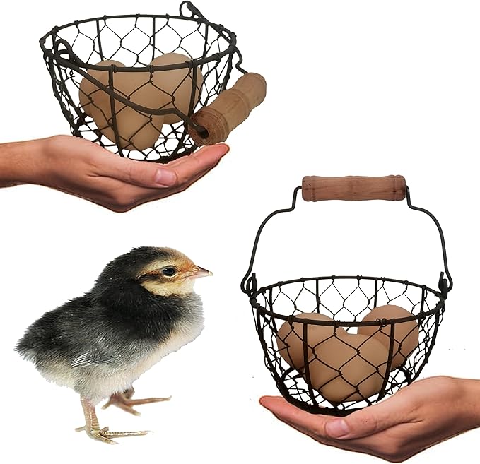 TAIANLE.Small Wire Egg Collecting Basket with Handle,Mini Metal Easter Quail Hunt Egg Basket for Gathering Fresh Egg,Round Farmhouse Vintage Countertop Holder,2 PCS