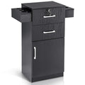 BarberPub 38"x18"x14" Locking Beauty Salon Storage Cabinet, Barber Styling Station with Nylon Hair Dryer Holder, Barber Shop Stylist Equipment with Drawers 2021 (Black)