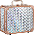 Makeup Train Case with Magnetic LED Mirror Makeup Organizer Box Travel Cosmetic Case with 3 Colors LED Mirror Portable Vanity Make up Suitcase with Lockable Keys Dividers Brush Holder, Silver
