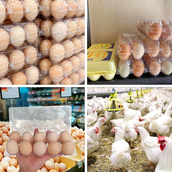 80 Pack Bulk Egg Cartons, Clear Plastic Chicken Egg Holders, Egg Tray Carton Holder for Home & Kitchen, Farm & Market Use, An Eco-Friendly Egg Storage Solution, 10 Grids(Medium Size)