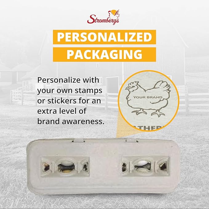 Stromberg's Large Blank Egg Cartons, Bulk Pack for Large Eggs, Perfect for Custom Branding, Safe & Secure Egg Storage, Convenient Stacking for Easy Transport and Storage, 250 Pack