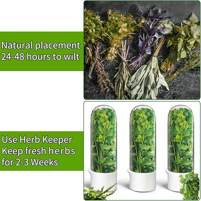 Herb Saver for Refrigerator, Herb Saver Pod Cilantro Containers for Refrigerator, Fresh Herb Keeper for Cilantro, Parsley, Asparagus, Mint, Keeps Greens Vegetables for 2-3 Weeks (Herb Keeper 3Pack)
