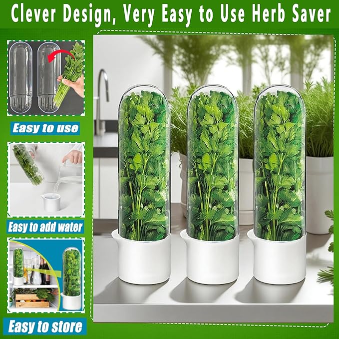 Herb Saver for Refrigerator - Herb Keeper & Cilantro Container for Fridge | Vegetable Preservation Storage Container for Cilantro, Basil, Asparagus | Extends Freshness Up to 2-3 Weeks
