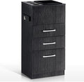 BarberPub Salon Storage Cabinet Beauty Locker Hair Dryer Holder Stylist Spa Equipment with Drawer 2035 (Black)