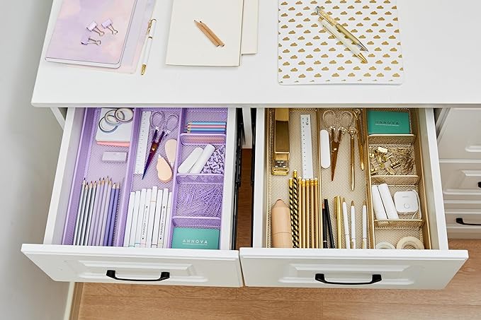Annova Desk Top Organizer Tray for Office Organization - Metal Mesh - Storage Tray with Dividers for Pens, Desktop Accessories, Bathroom, Kitchen, Makeup and Office Supplies (Large, Gold)