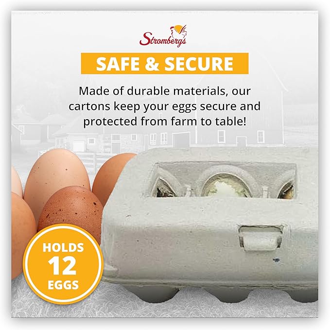Stromberg's Large Blank Egg Cartons, Bulk Pack for Large Eggs, Perfect for Custom Branding, Safe & Secure Egg Storage, Convenient Stacking for Easy Transport and Storage, 250 Pack