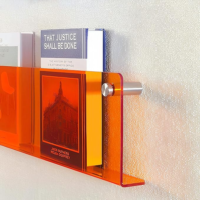 ROYALITA 2-Pack Acrylic Magazine Holder Brochure Holder, 24" Record Holder Magazine Rack, Fashion Hanging Bookshelf Literature Storage Rack for Waiting Room, Living Room, Office, Orange 24 Inch