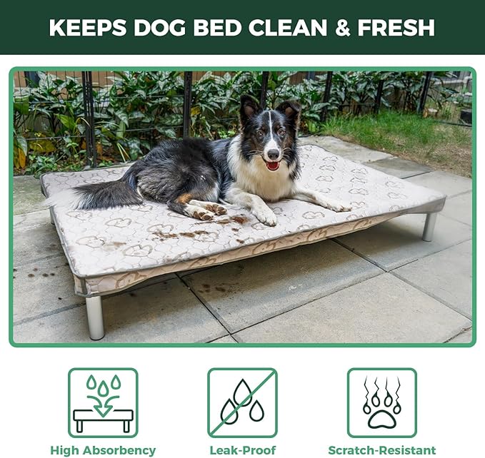 FXW TitanNest Chew-Proof Elevated Dog Bed, Raised Cot for Indoor/Outdoor/Camping Use, Durable & Washable Padded Pet Bed with Exclusive Cover for Small Dogs, 35.0" L x 22.0" W x 4.5" H, Gray
