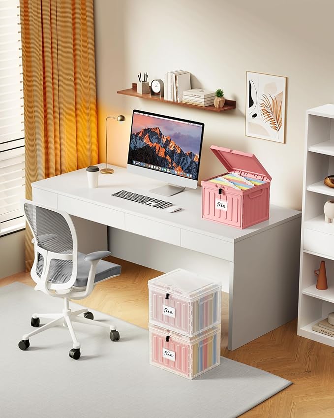 Oterri Plastic File Box with Lid for Letter Size File Folders, Hanging File Folder Box Collapsible File Organizer, File Cabinet Document Organization Home, Office (Pink, Large-2 Pack Without Folders)
