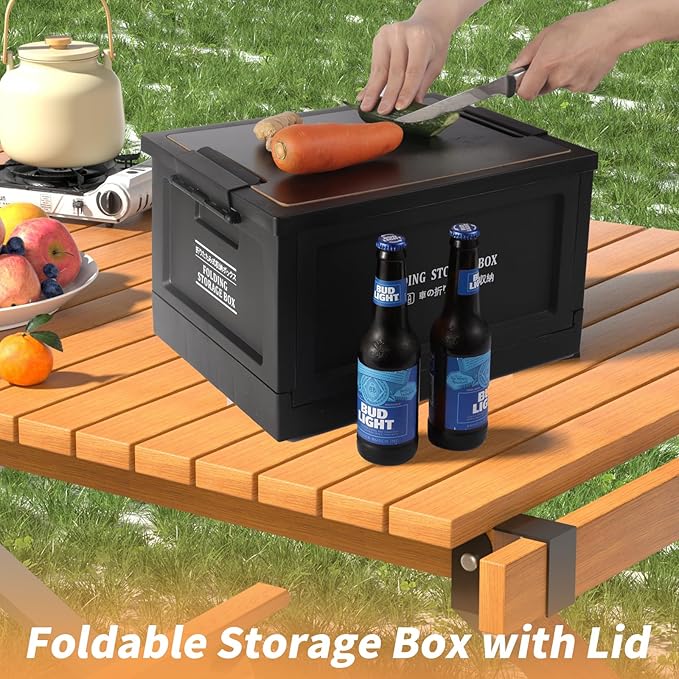 Collapsible Storage Bins with Lids, Portable Foldable Box with 2 Side Doors, Organizing Stackable Storage Cases Large Heavy Duty Utility Crates for Camp Fishing Car RV Office (Large-30L)