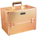 SHANY Essential Pro Makeup Train Case Cosmetic Box Portable Makeup Case Cosmetics Beauty Organizer Jewelry storage with Locks, Multi Compartments Makeup Box and Shoulder Strap - Rose Gold