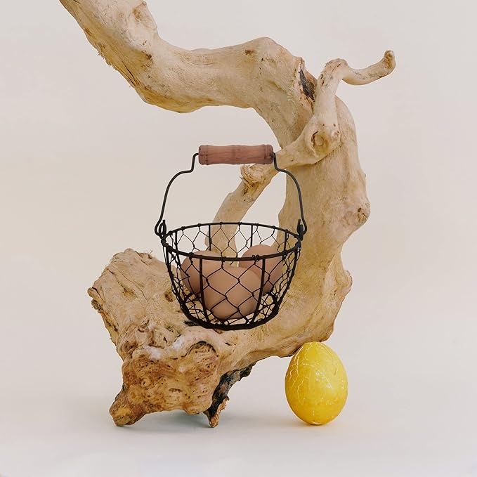 TAIANLE.Small Wire Egg Collecting Basket with Handle,Mini Metal Easter Quail Hunt Egg Basket for Gathering Fresh Egg,Round Farmhouse Vintage Countertop Holder,2 PCS