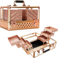 Ver Beauty Makeup Train Case 14 inch Armored Acrylic Large Portable Cosmetic Case 6 Trays Professional Storage Organizer Box Make Up Artist Jewelry Nail Kits Crafts Display Brush Holder- Rose Gold